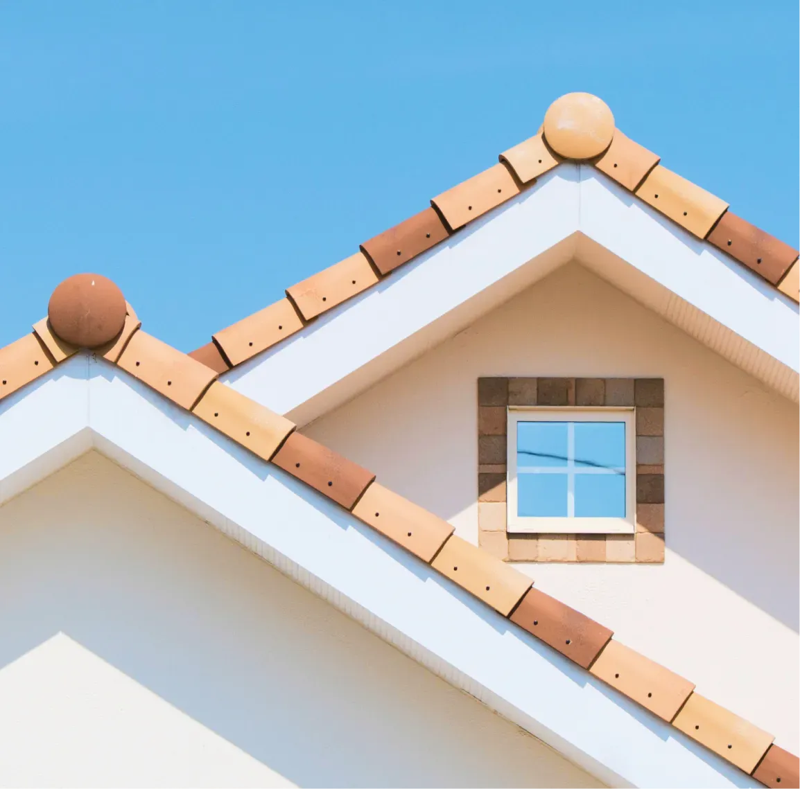 ギャラリー画像5