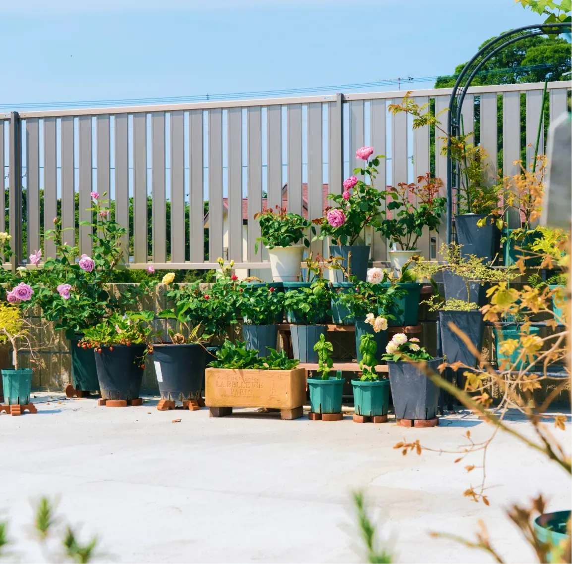 ギャラリー画像9